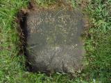 image of grave number 496848